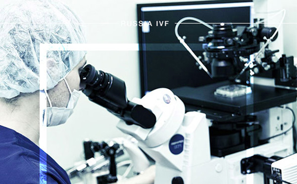 樂孕網海外介紹